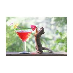 PALM PRESS GREETING CARDS SQUIRREL/DRINK
